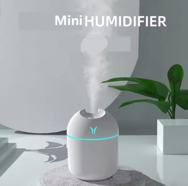Mini portable usb humidifier