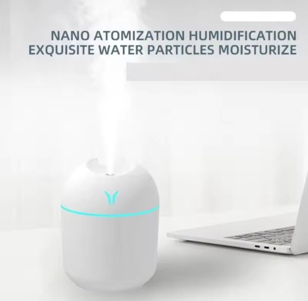 Mini portable usb humidifier