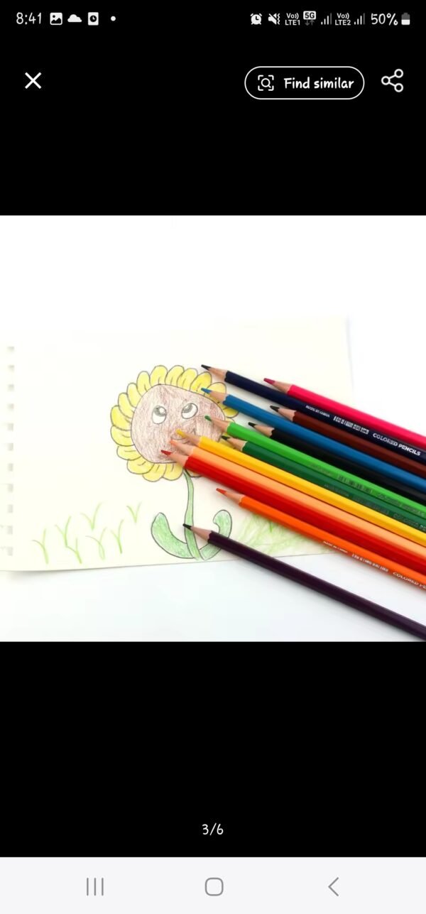 Colored Pencil 12 pcs