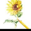 Colored Pencil 12 pcs