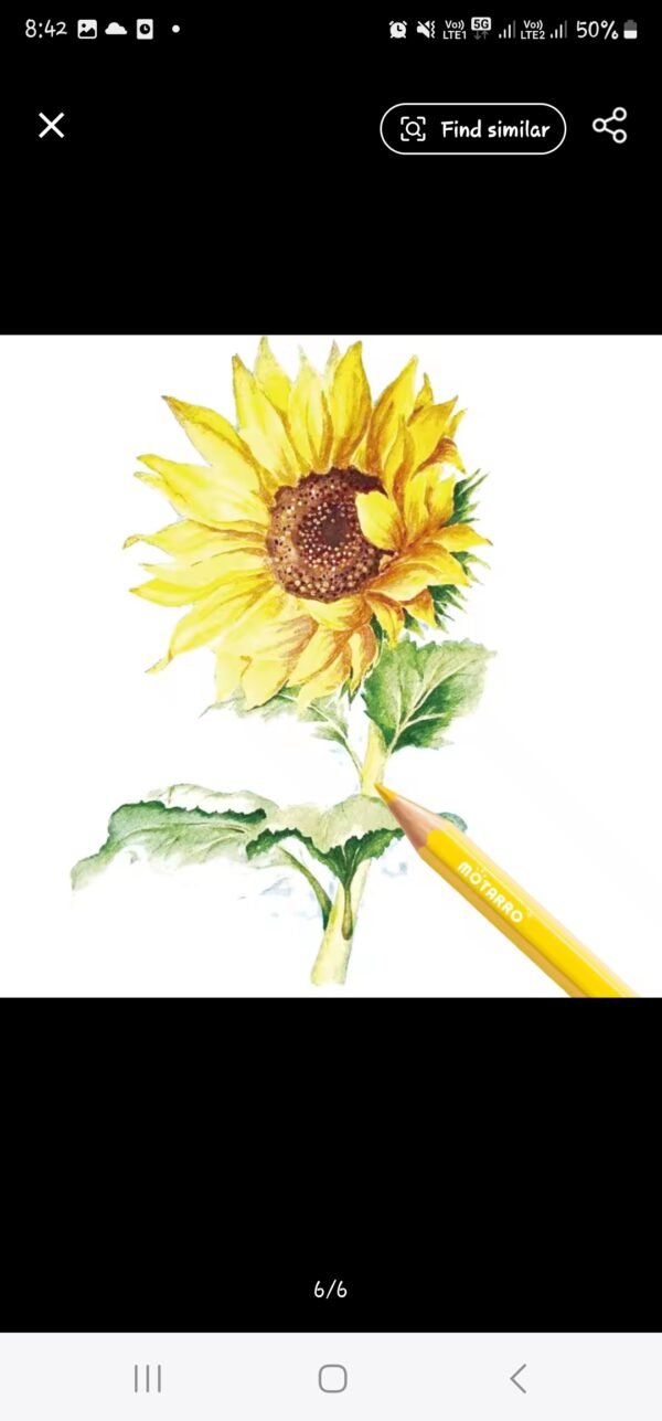 Colored Pencil 12 pcs